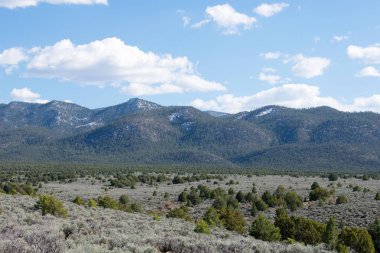 arka planda dağ sırası ile yeşil çayır