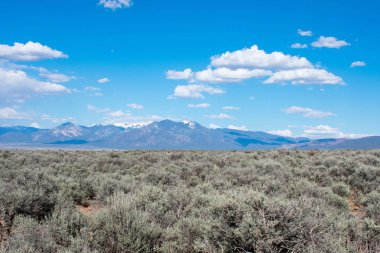 arka planda dağ sırası ile yeşil çayır