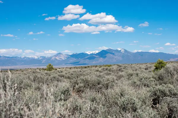 arka planda dağ sırası ile yeşil çayır