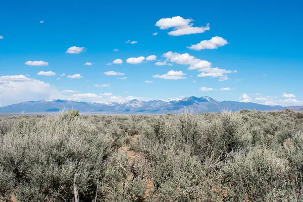 arka planda dağ sırası ile yeşil çayır