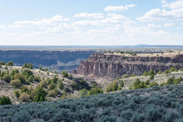 arka planda dağ sırası ile yeşil çayır