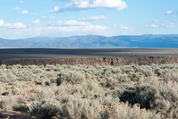 arka planda dağ sırası ile yeşil çayır