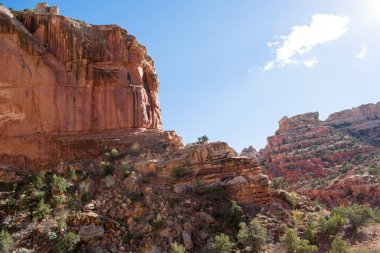 Dağ çöl peyzaj, kayalar ve çim