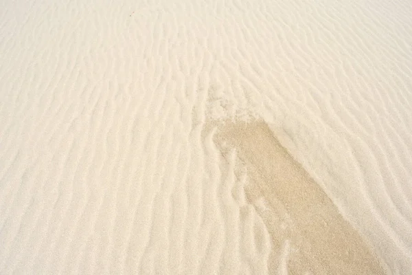 Duna Areia Praia Verão Textura Sol Padrão — Fotografia de Stock