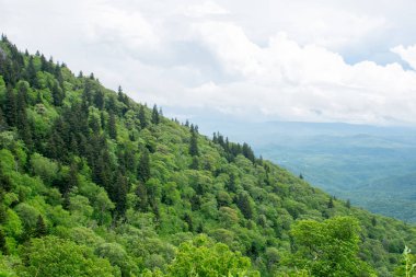Yeşil bitkilerle kaplı dağ tepeleri