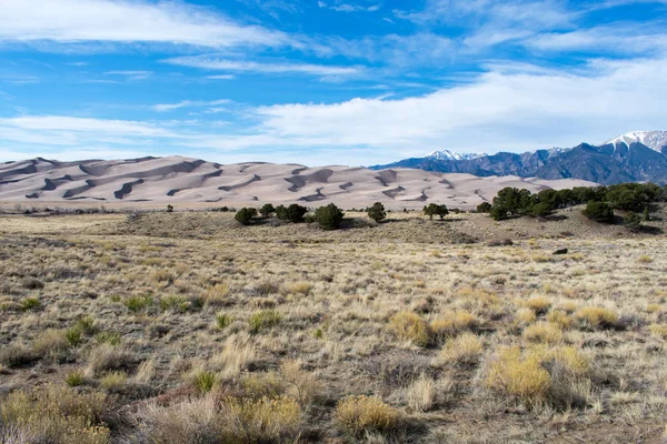 Mountain Desert Landscape, Rocks and Grass