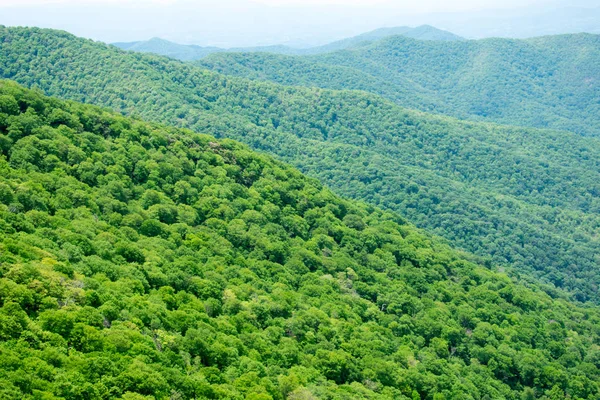 Montanhas Cobertas Plantas Verdes — Fotografia de Stock