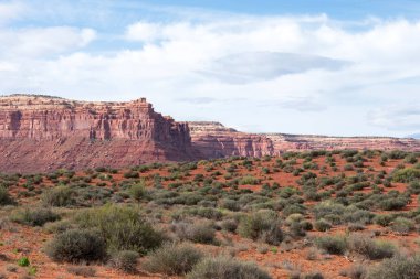 Çöl manzarasında görkemli kumlu oluşumlar