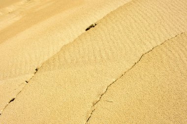 yaz güneş doku ve desen plaj kumul