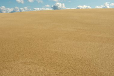 yaz güneş doku ve desen plaj kumul