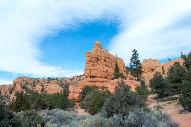 Dağ Çöl Manzara, Kayalar ve ağaçlar