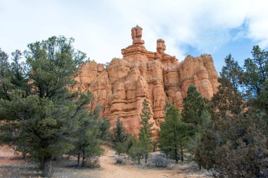 Dağ Çöl Manzara, Kayalar ve ağaçlar