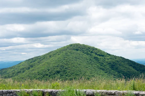 Groene Heuvel Bedekt Met Bomen — Stockfoto