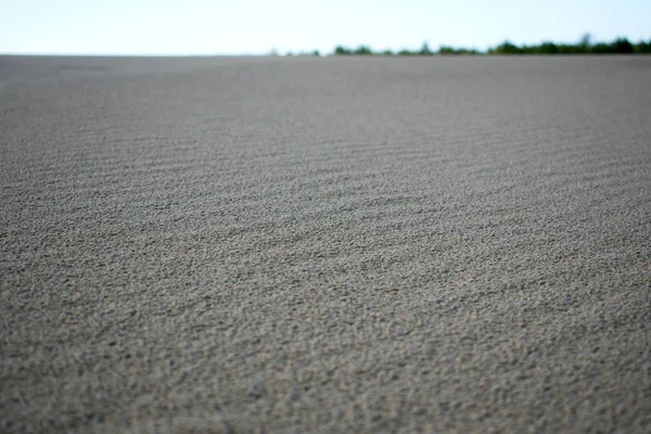 WAvy sand surface with blurred plants on background