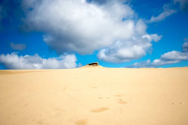 Duna Areia Praia Verão Textura Sol Padrão — Fotografia de Stock