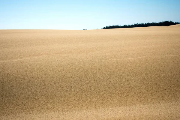 Duna Areia Praia Verão Textura Sol Padrão — Fotografia de Stock