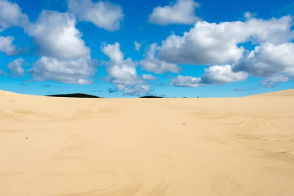 Spiaggia Duna Sabbia Estate Texture Sole Modello — Foto Stock