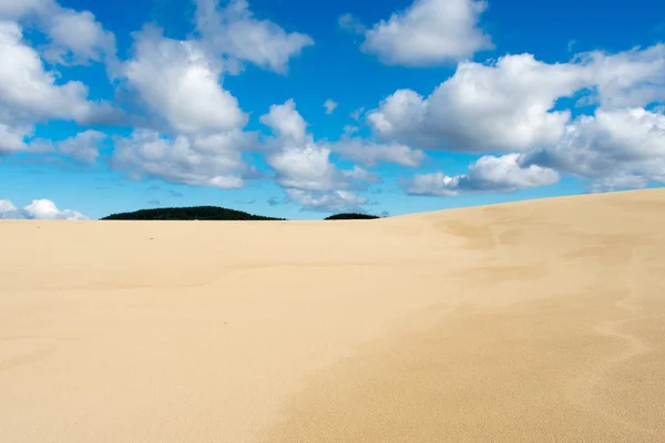 Duna Areia Praia Verão Textura Sol Padrão — Fotografia de Stock