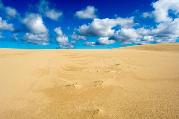 Strand Zandduin Zomer Zon Textuur Patroon — Stockfoto