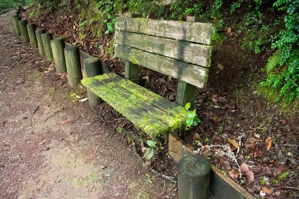 Oude Houten Mosselbank Het Park — Stockfoto