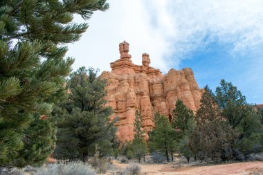 Dağ Çöl Manzara, Kayalar ve ağaçlar