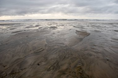 Deniz manzarası ve Baltık kıyılarının buzu