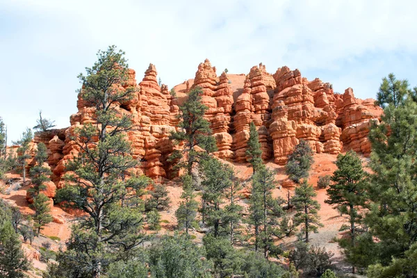 Montaña Desierto Paisaje Rocas Árboles — Foto de Stock