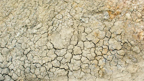 Dried Cracked Ground Texture — Stock Photo, Image