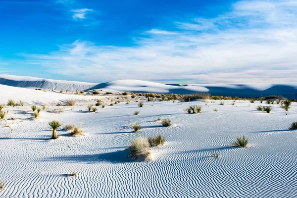 Bellissimo Paesaggio Desertico Sotto Cielo Nuvoloso Blu — Foto Stock