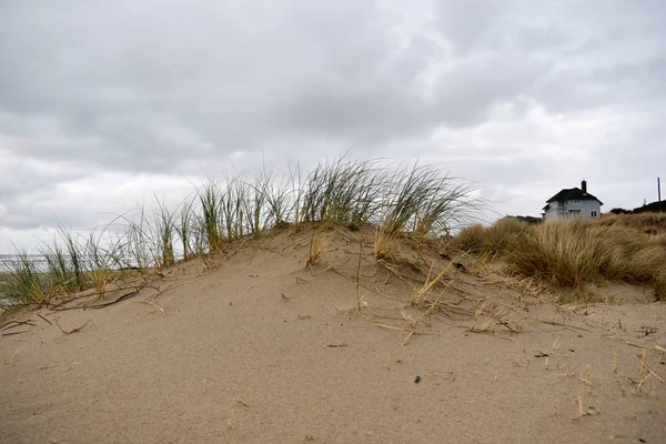 Landskap Sand Fält Med Torkat Gräs — Stockfoto