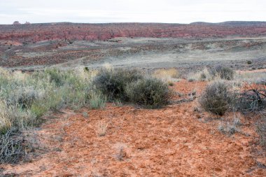 Dağ çöl peyzaj, kayalar ve çim