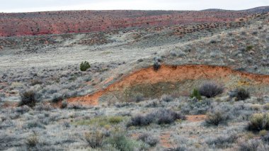 Dağ çöl peyzaj, kayalar ve çim