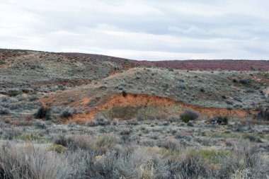 Dağ çöl peyzaj, kayalar ve çim