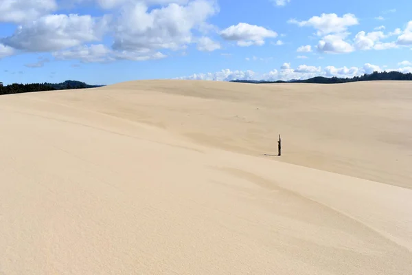 Plážový Písečný Duny Letní Struktuře Struktuře Slunce — Stock fotografie