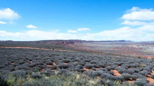 Mountain Desert Landscape Rocks Grass — Stock Photo, Image