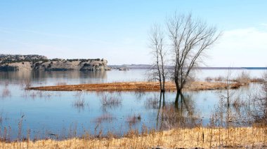 Etrafında kuru bitkiler ile Nehir alanı