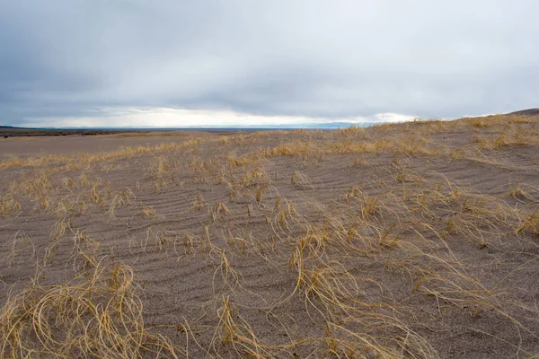 Sand surface with grey sky background.