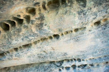 Bryce Kanyonu Ulusal Parkı, Kaya ve Taş Delikleri