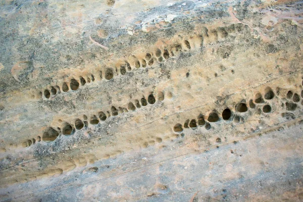 Bryce Canyon National Park Holes Rock Stone — Stock Photo, Image