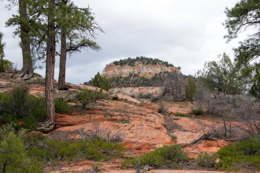 Kayalık dağlar arka plan, doğa manzara
