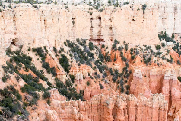 Prachtige Zandbergen Landschap Met Groene Planten Onder Blauwe Bewolkte Hemel — Stockfoto