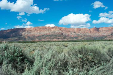 Mavi bulutlu gökyüzü altında çimenli alan