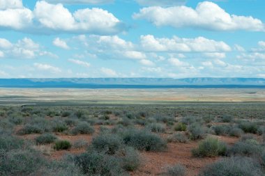 Mavi bulutlu gökyüzü altında çimenli alan