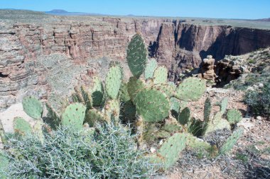 Kayalık dağlar arka plan, doğa manzara