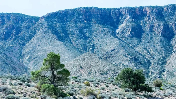 Rocky Mountains Achtergrond Natuur Landschap — Stockfoto