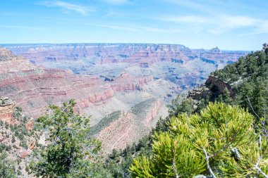 Dağların ve Kanyonların Renkli Çöl Manzarası. Arizona