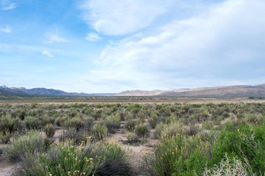 Dağ çöl peyzaj, kayalar ve çim