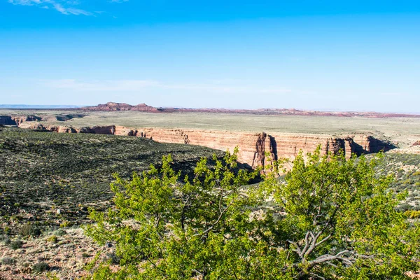 Cliff Grand Canyonu Arizoně Usa Modrá Obloha Hory Zelená Vegetace — Stock fotografie