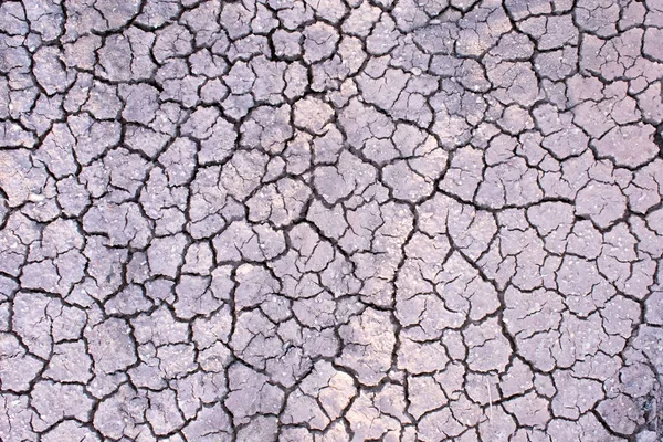 ひび割れた乾燥した土路 テクスチャ表面 — ストック写真