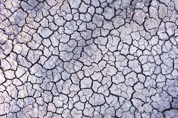 Cracked dried dirt road, textured surface.